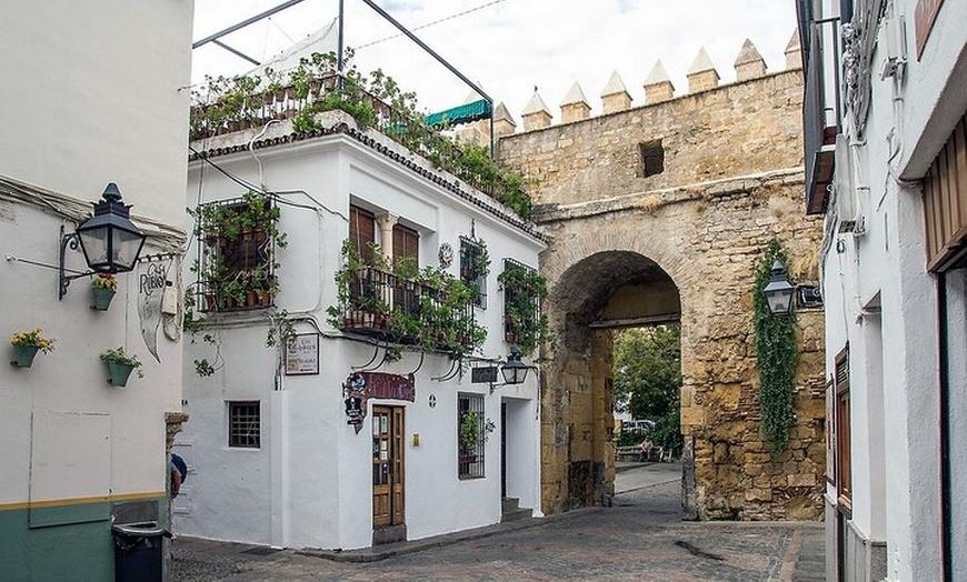 Image 6: Excursión Privada Día Completo de Sevilla a Córdoba con Entradas