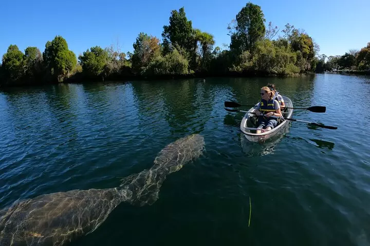 Clear Kayak Manatee Ecotour of Crystal River