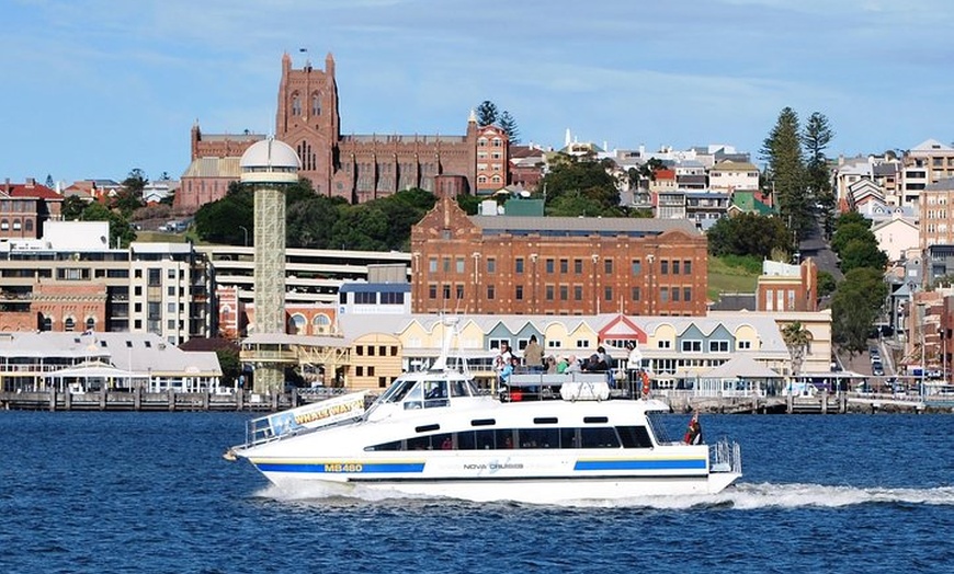 Image 4: Newcastle Whale Watching Cruise