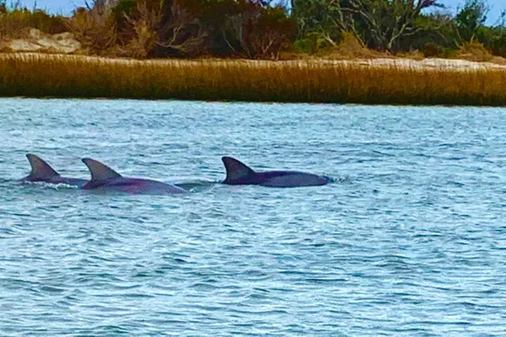 Half-Day Private Scenic Cruise in Emerald Isle, North Carolina - Primary Image