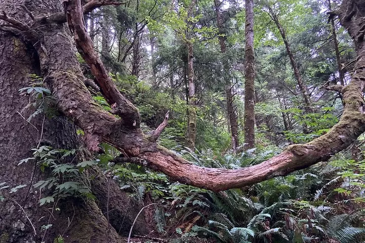 Cannon Beach Hiking Tour on the Oregon Coast