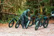 4 Hour Redwood National and State Park E Bike Adventure - Second Medium