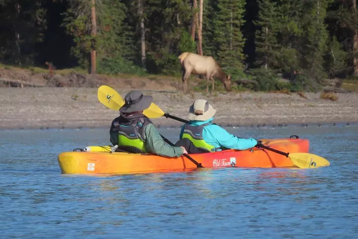 4-Hour Kayak on Yellowstone Lake with Lunch