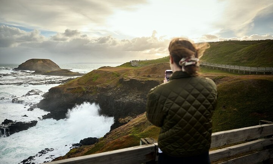 Image 9: Phillip Island Direct Tour Penguin Parade and Coastal Views
