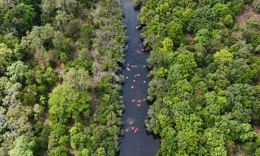 Image 7: Rainforest River Tubing from Cairns