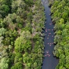 Image 7: Rainforest River Tubing from Cairns