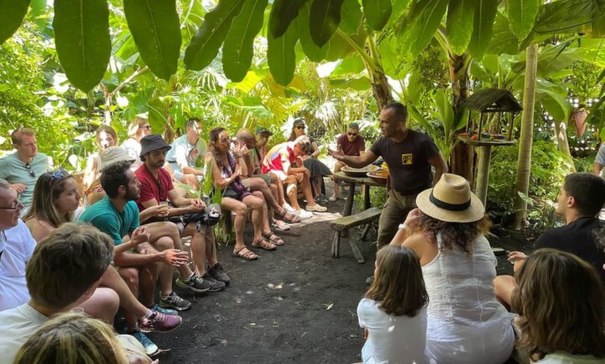 Image 4: Tour ecológico de cultivo de plátanos en La Palma