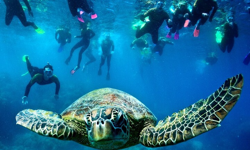 Image 33: NEW DAY TOUR- Whitsunday Islands Sail, SUP & Snorkel Tour