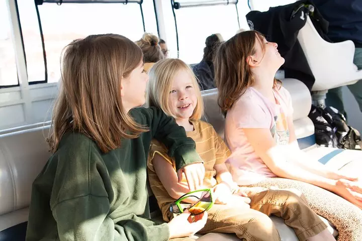 Dolphin and Wildlife Adventure of St. Augustine