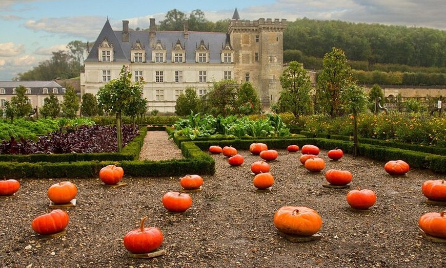 Image 6: Visite en petit groupe au départ de Paris : 3 Châteaux de Loire et ...