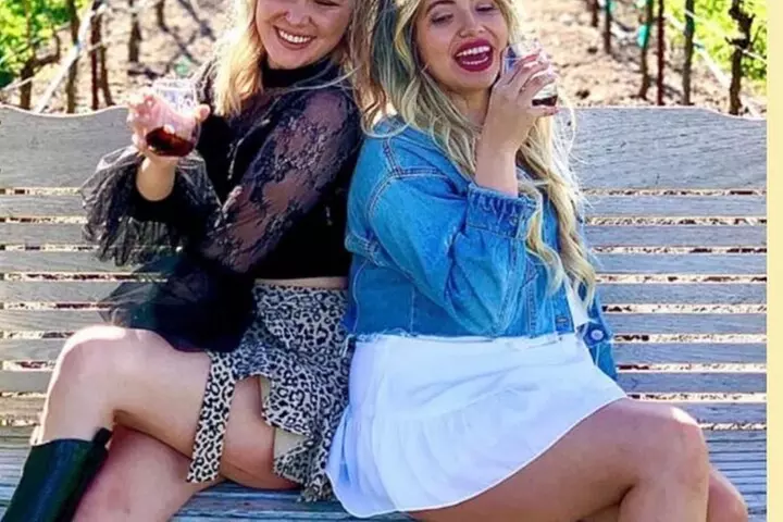 Painted Ladies Wine Country Tour