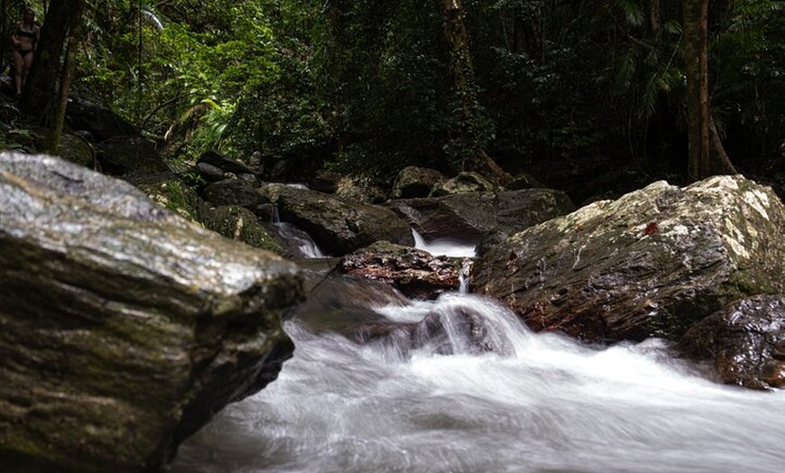 Image 4: Cairns Day Tour Private Waterfall