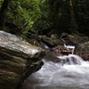 Image 4: Cairns Day Tour Private Waterfall