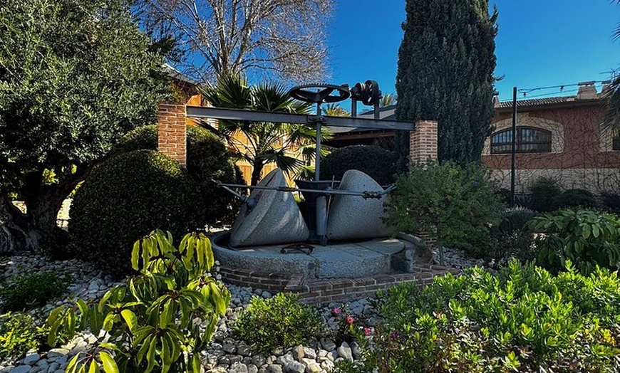 Image 4: Alicante; Recorrido Vinícola Bodega Cata Vinos, Comida y Traslado