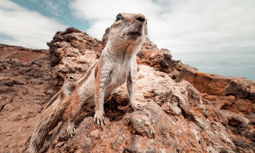 Image 10: Fuerteventura Norte - Excursión de 4 horas con salida desde Corralejo