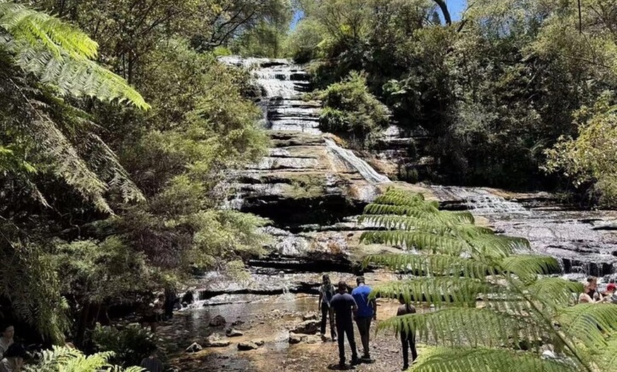 Image 3: Blue Mountains Mercedes Tour: Cockatoos, Cascades & Scenic World
