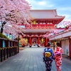 Image 3: ✈ GIAPPONE | Da Tokyo a Osaka - Paradiso Giapponese: Tokyo, Kyoto, ...