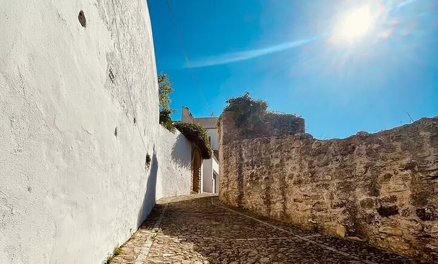 Image 37: Day trip privado a Arcos, Medina Sidonia y Vejer de la Frontera