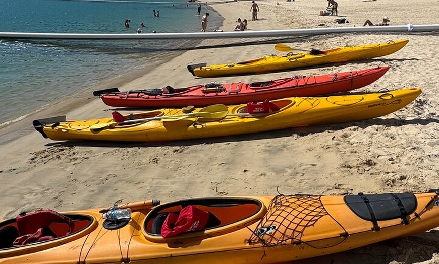 Image 5: Half Day Kayak Turtle Tour