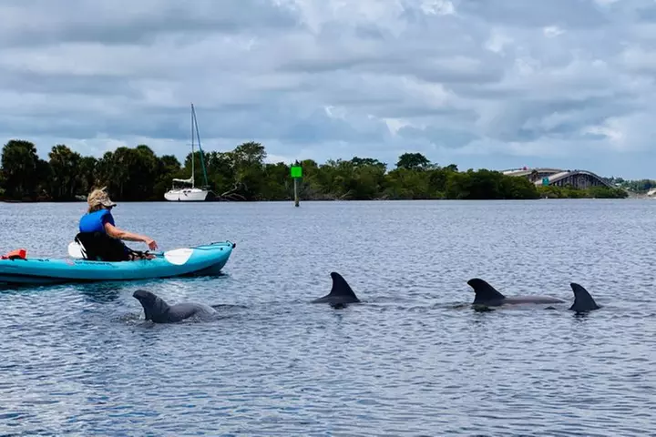 Dolphin and Manatee Kayak Tour of Daytona Beach