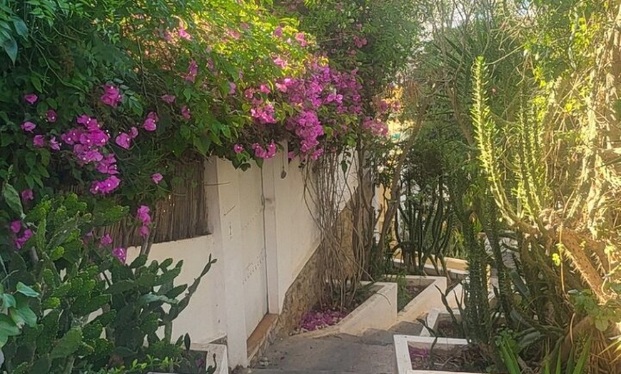 Image 6: Ruta a pie Tour Ibiza Ciudad a Dalt Villa