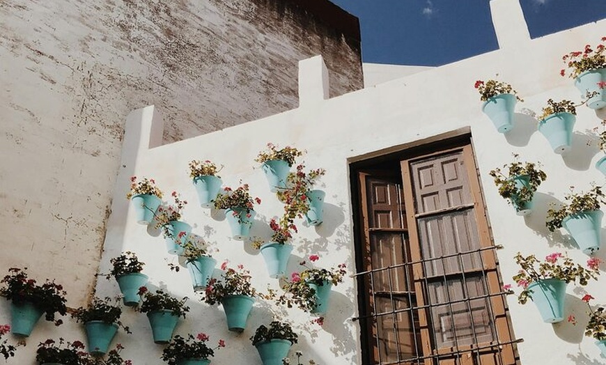 Image 5: Excursión de un día a Córdoba desde Sevilla con visita guiada