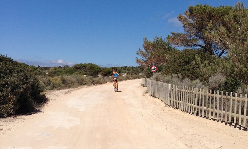 Image 6: Ibiza Excursión a Formentera en Bici con Traslado y Fast Ferry