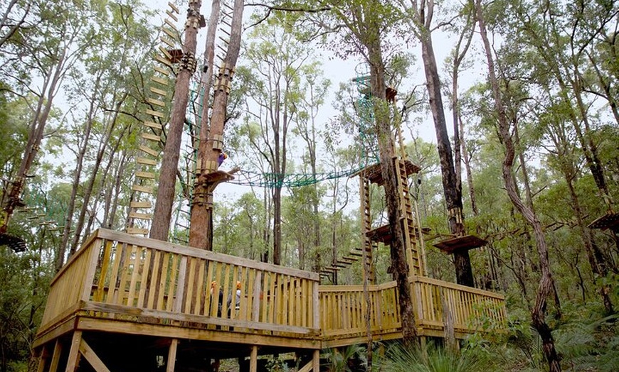 Image 3: Lane Poole Park Dwellingup - Tree Ropes Course