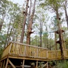 Image 3: Lane Poole Park Dwellingup - Tree Ropes Course