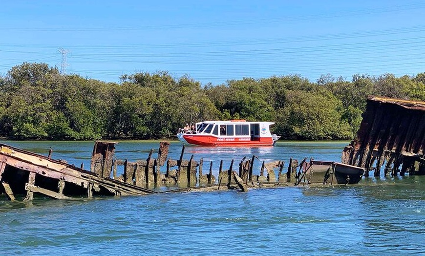 Image 2: 90 Minute Port River Dolphin & Ships Graveyard Cruise