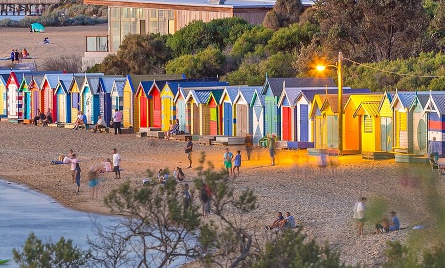 Image 11: Best of Melbourne City & Wildlife Sanctuary for Cruise Passengers