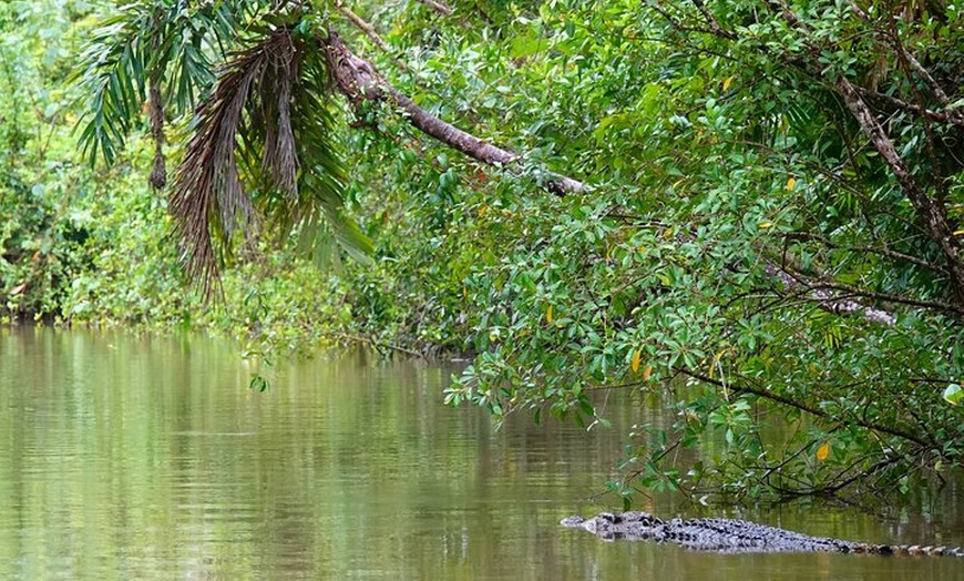 Image 18: Private Guided Tour in Port Douglas and Surrounds