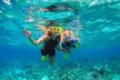 Private Snorkel and Dive Charter to Culebra (Up to 5 Guests) - Second Medium