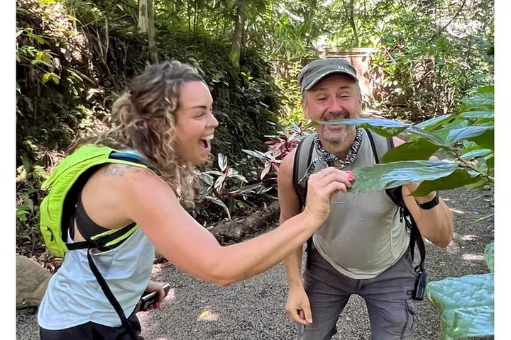 Waterfall, 1st Road to Hana, Chocolate Tour, Historical, Jungle