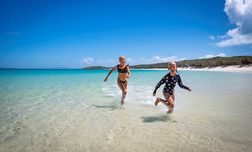 Image 5: Great Keppel Island Glass Bottom Boat Tour & Ferry Transfer