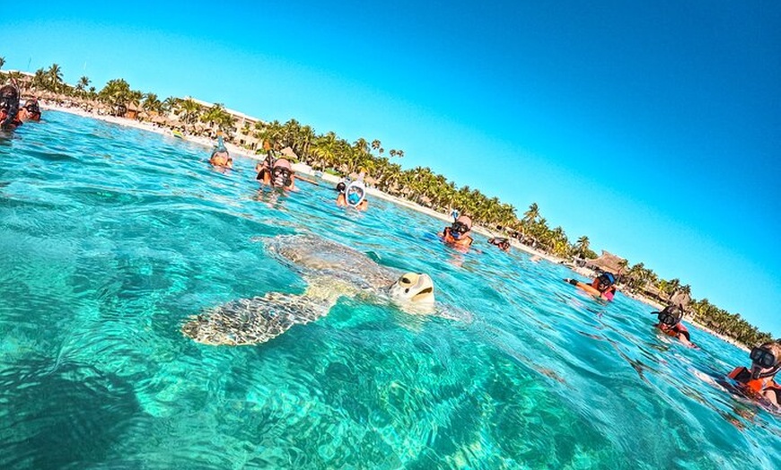 Image 18: Tulum Ruins, Sea Turtles & Cenote Swim Adventure Tour