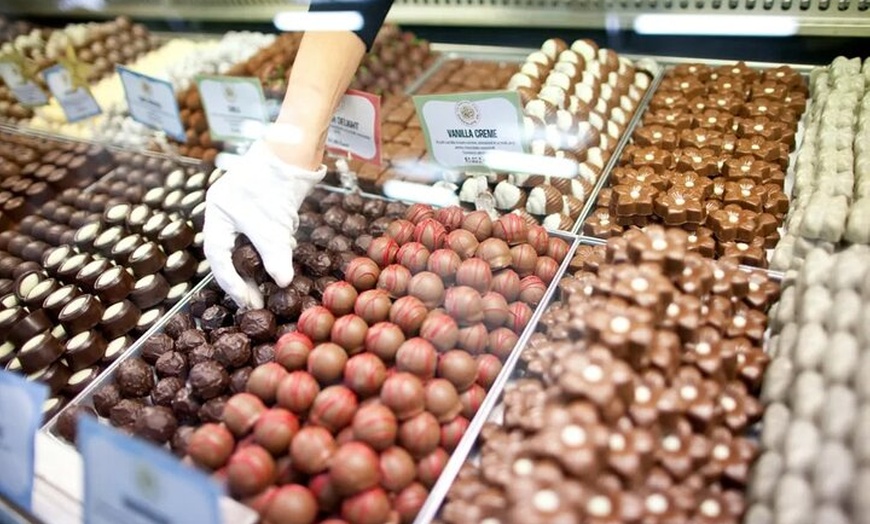 Image 3: Swan Valley Tour from Perth: Wine, Beer and Chocolate Tastings