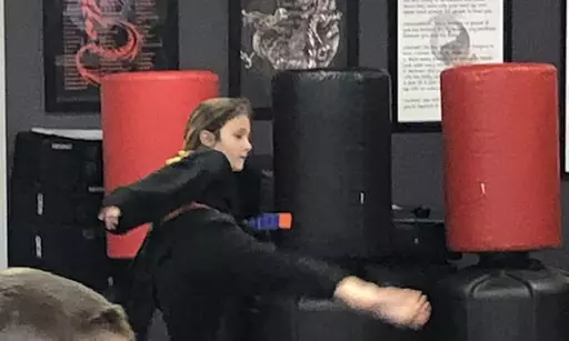 $24 For 4 Weeks of Beginner Karate (Reg. $49)