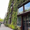 Image 9: Musée du quai Branly - Jacques Chirac Billet d'entrée et croisière