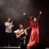 Image 10: Show Flamenco Auténtico en el Teatro Flamenco Barcelona