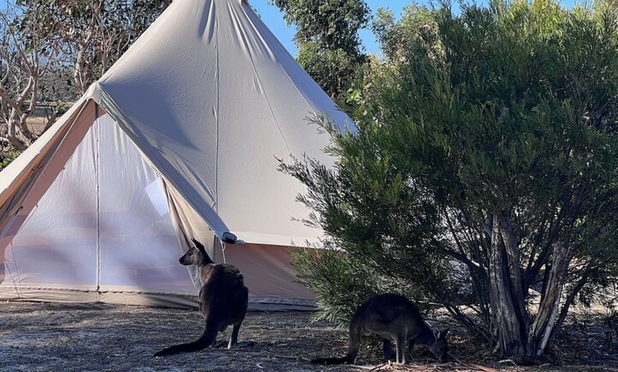 Image 32: Adelaide: Kangaroo Island 2-Day Epic Adventure Small Group tour