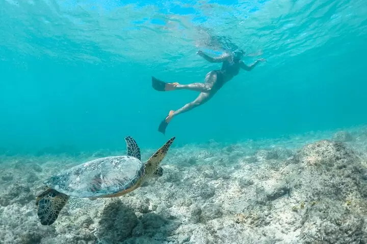 Kailua Bay, Oahu: Epic Kayak and Snorkel to Islands with Lunch