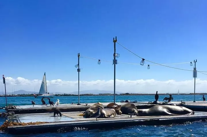 San Diego Harbor Speed Boat Adventure