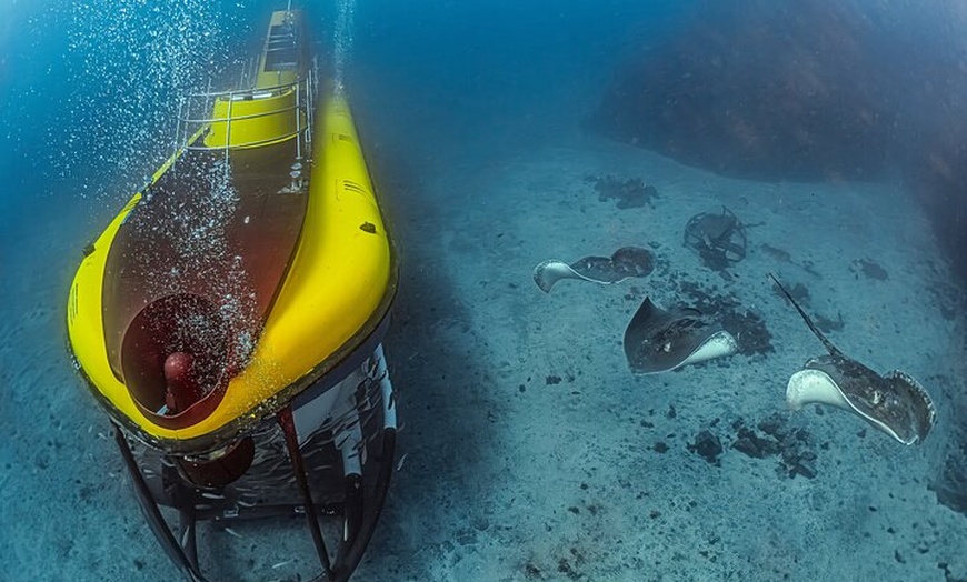 Image 10: Tour submarino Tenerife: una experiencia submarina de 1 hora