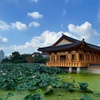 Image 11: ✈ COREA DEL SUD | Seul - Alla scoperta di Suncheon, 8 notti - Tour