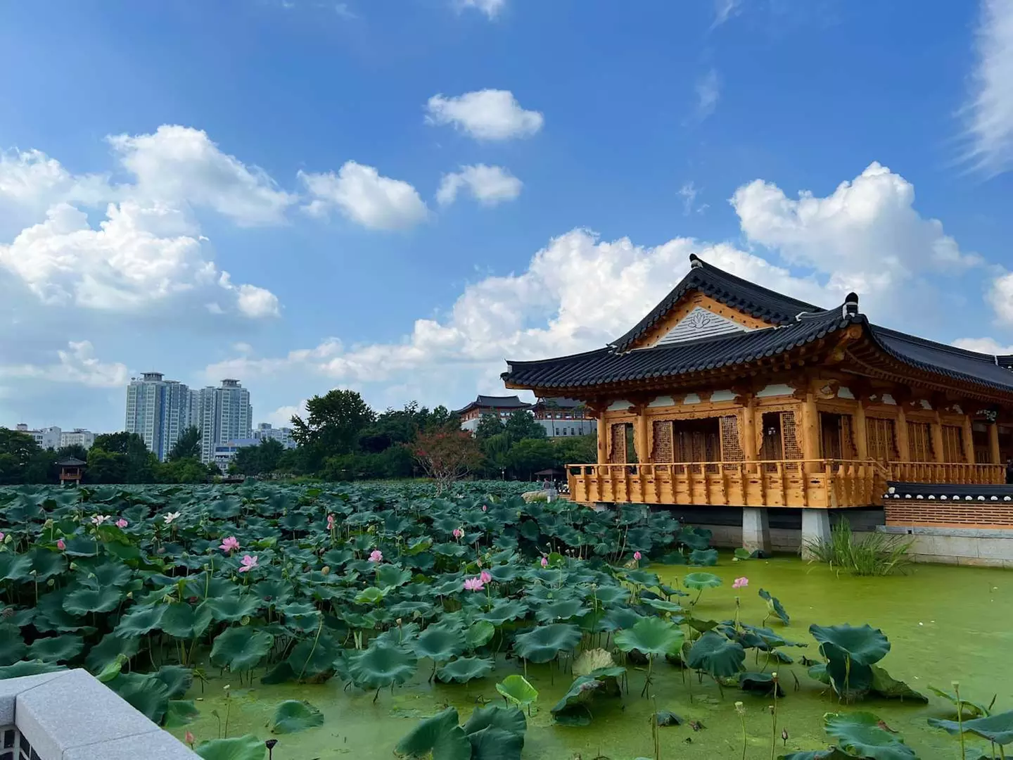 ✈ SÜDKOREA | Seoul - Entdeckung von Suncheon, 8 Nächte - Rundreise