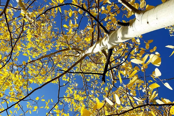 Peak to Peak Scenic Byway and Estes Park