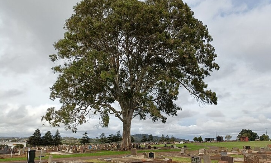 Image 2: Cemetree Tour, Roots of Toowoomba's History from Harristown