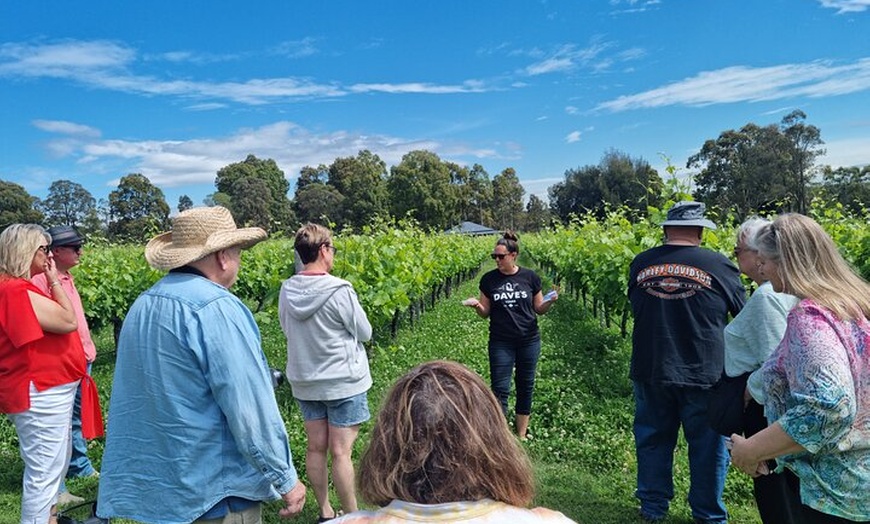 Image 5: Sydney Grains and Grapes Hunter Valley Wine and Beer with Lunch