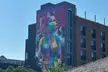 Edmonton City Highlights 3 Hour Bike Tour, E-Bike Upgrade Avail. - Second Medium